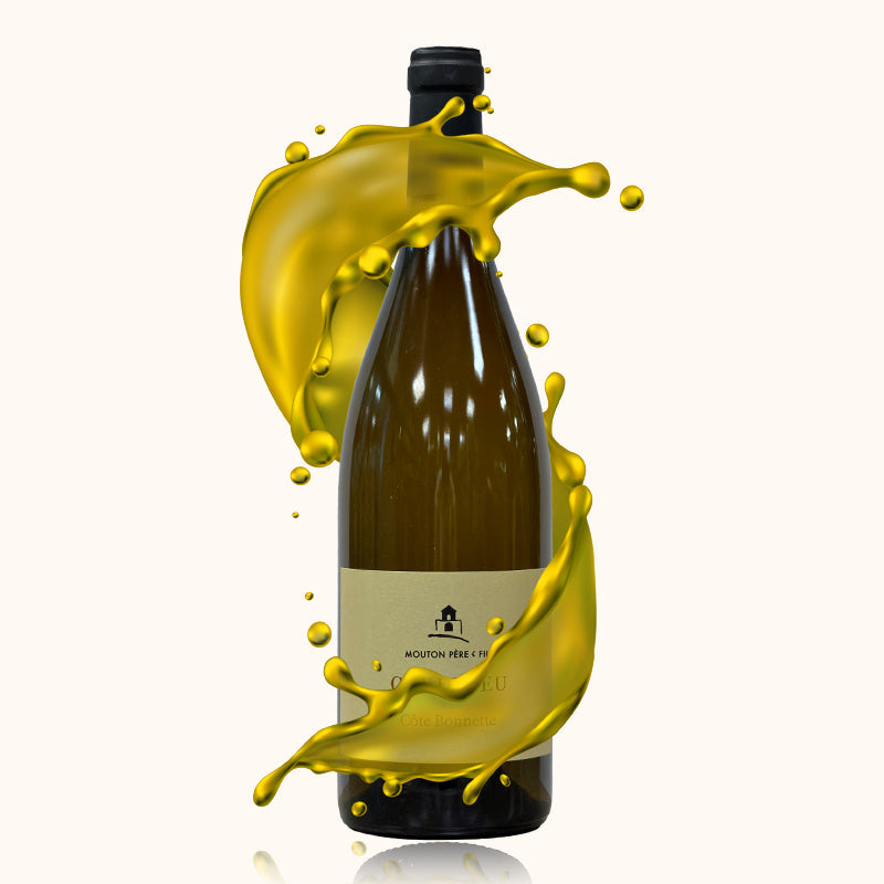 Condrieu Domaine Mouton Côte Bonnette bouteille