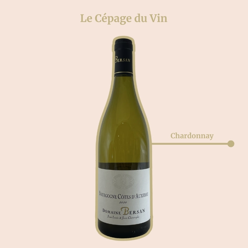 Côtes d'Auxerre Domaine Bersan Blanc Cépage