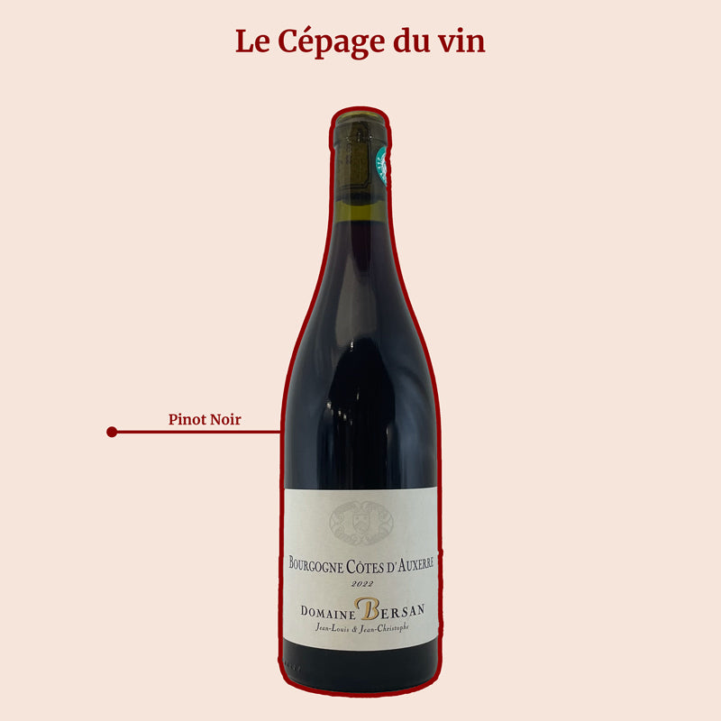 Côtes d'Auxerre Domaine Bersan Rouge Cépage
