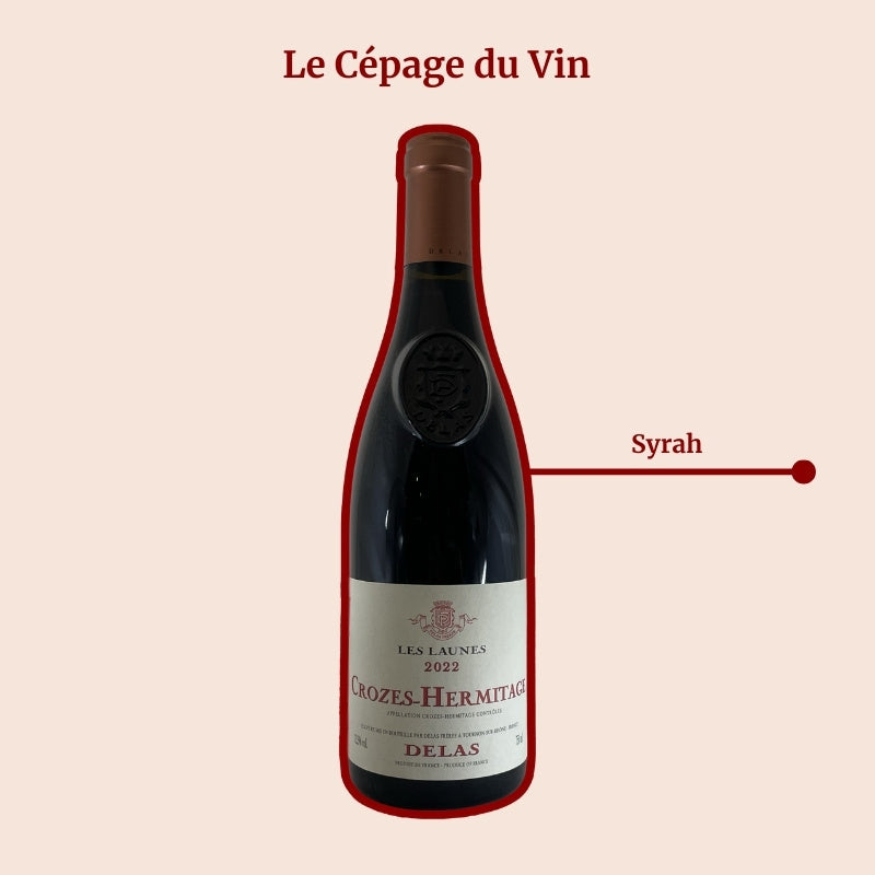 Crozes Hermitage Delas Les Launes Cépage