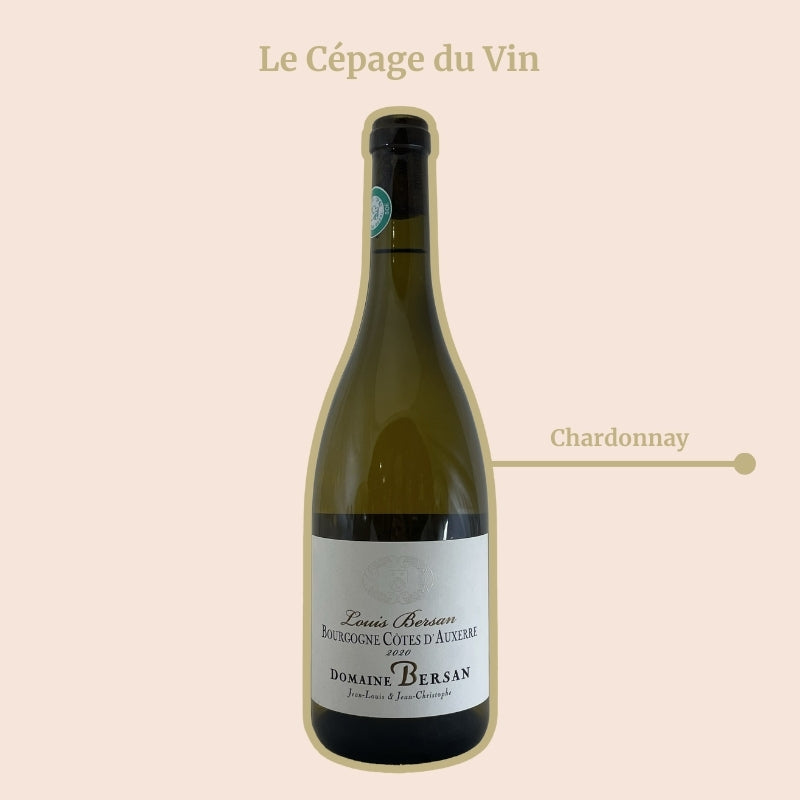 Cuvée Louis Bersan Blanc Cépage