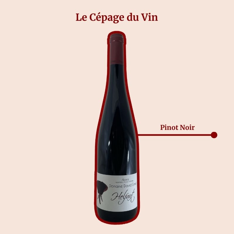 David Ermel Pinot Noir Coteau du Helfant Cépage