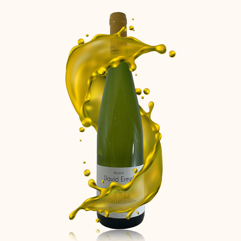 David Ermel Riesling bouteille