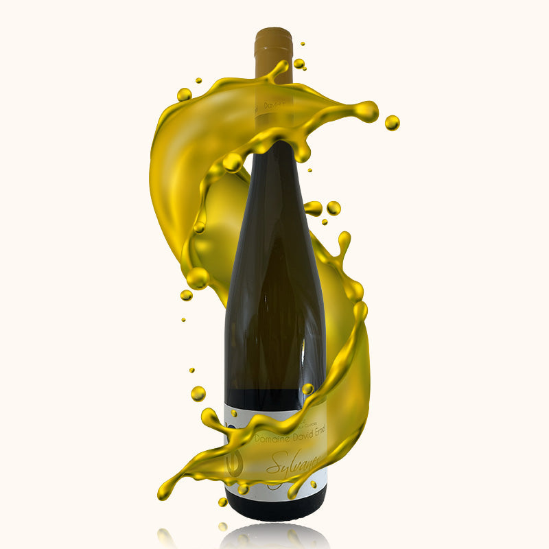 David Ermel Sylvaner bouteille