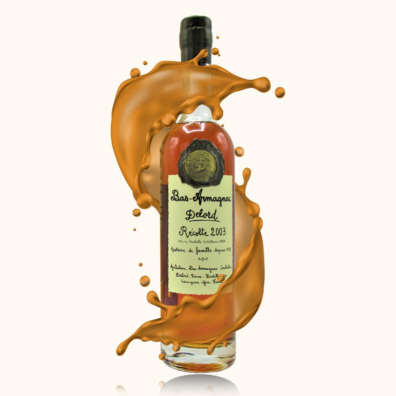 Delord Armagnac 2003 bouteille