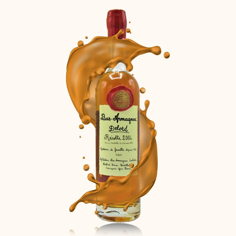 Delord Armagnac 2004 bouteille