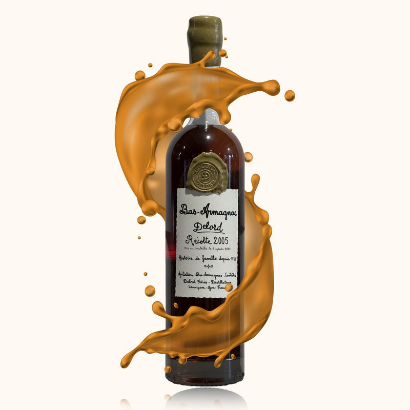 Delord Armagnac 2005 bouteille