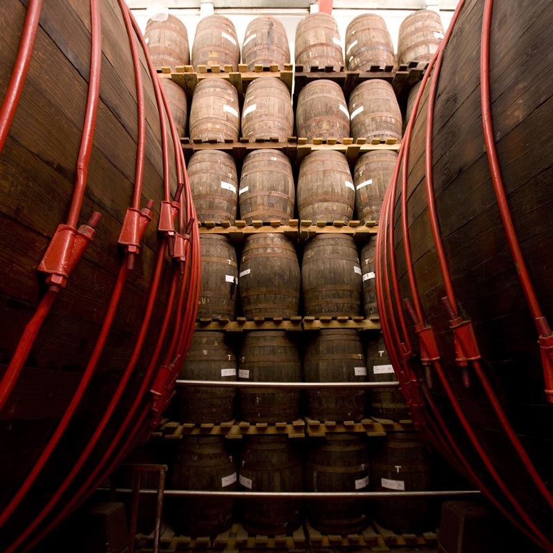 Zacapa
