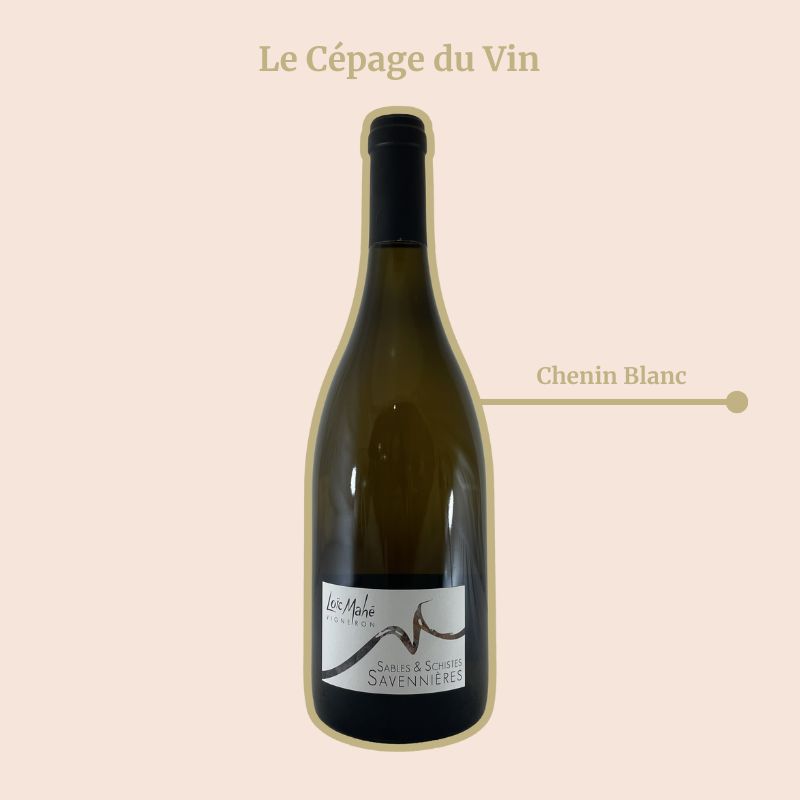 Dom Loïc Mahé Sables & Schistes Savennières Cépage