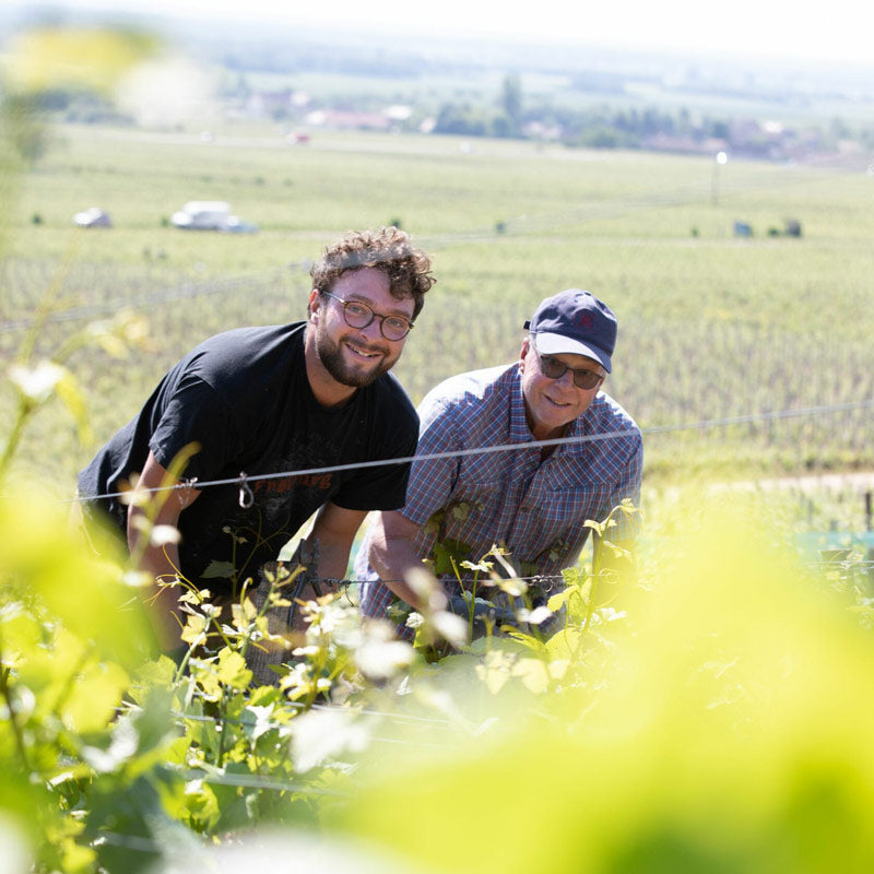 Domaine Amiot & Fils