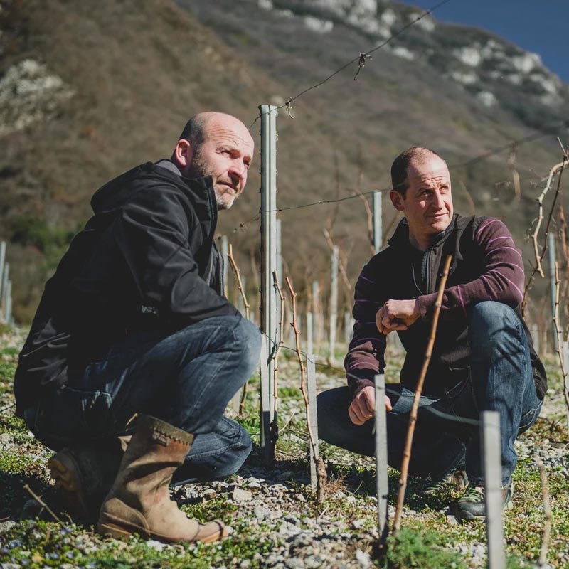 Domaine Berthollier