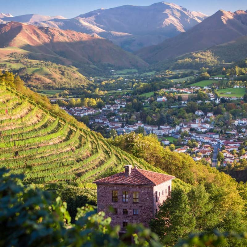 Domaine Brana