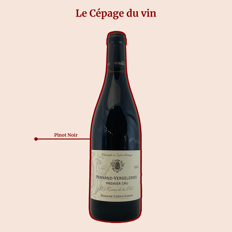 Domaine Cornu Camus Les Creux de la Net Cépage
