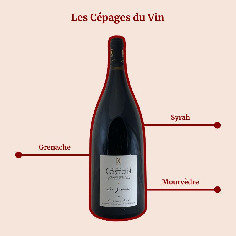 Domaine Coston Les Garigoles Magnum Cépages