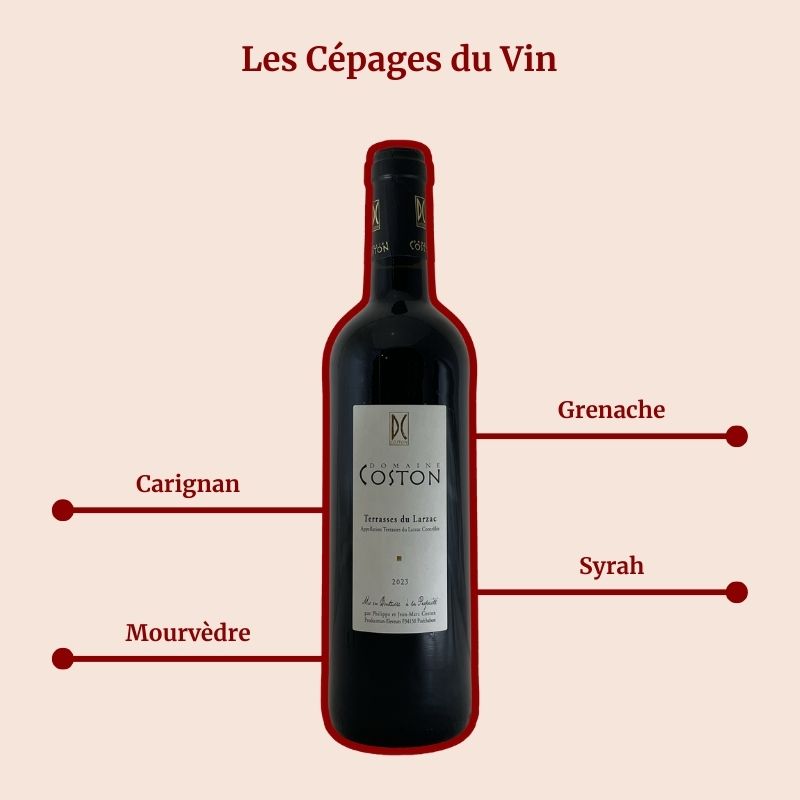 Domaine Coston Terrasses du Larzac Cépages