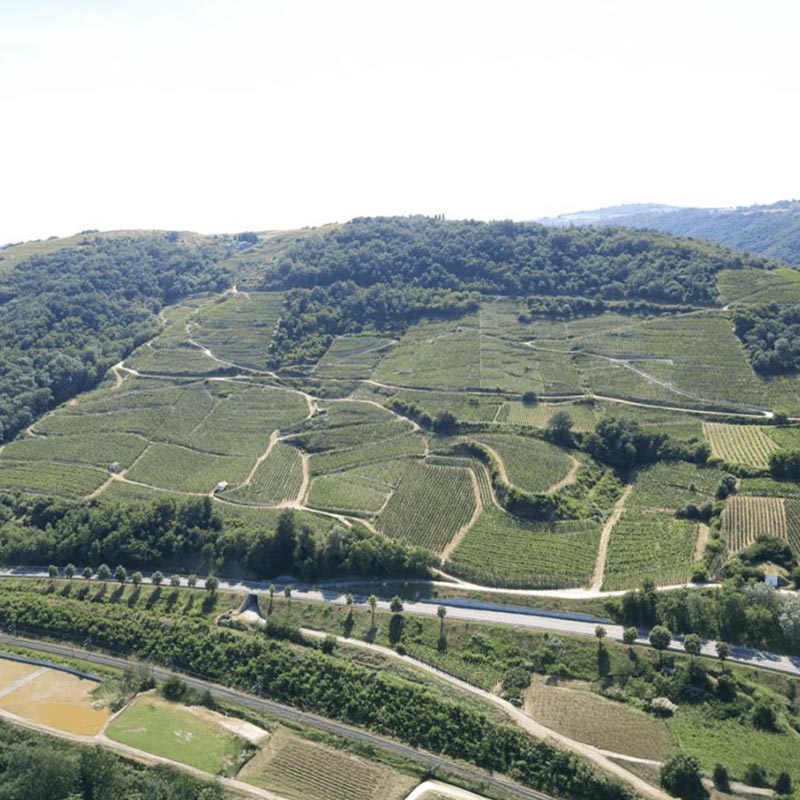 Domaine Coursodon