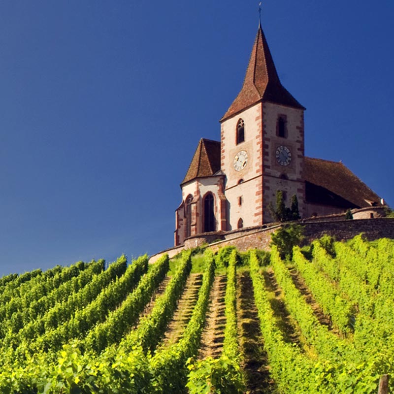 Domaine David Ermel