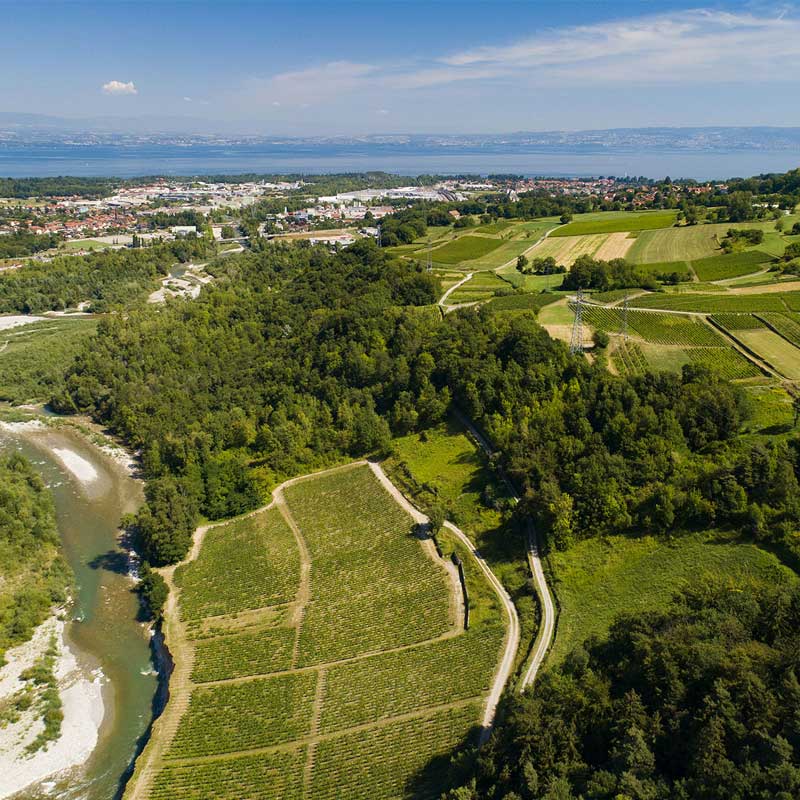 Domaine Delalex