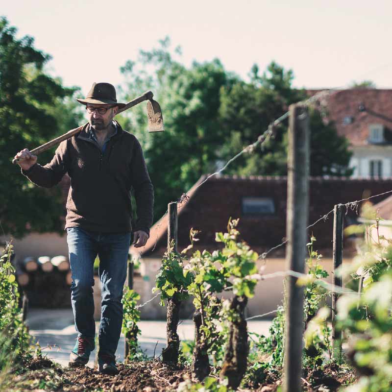 Domaine Dominique Gruhier