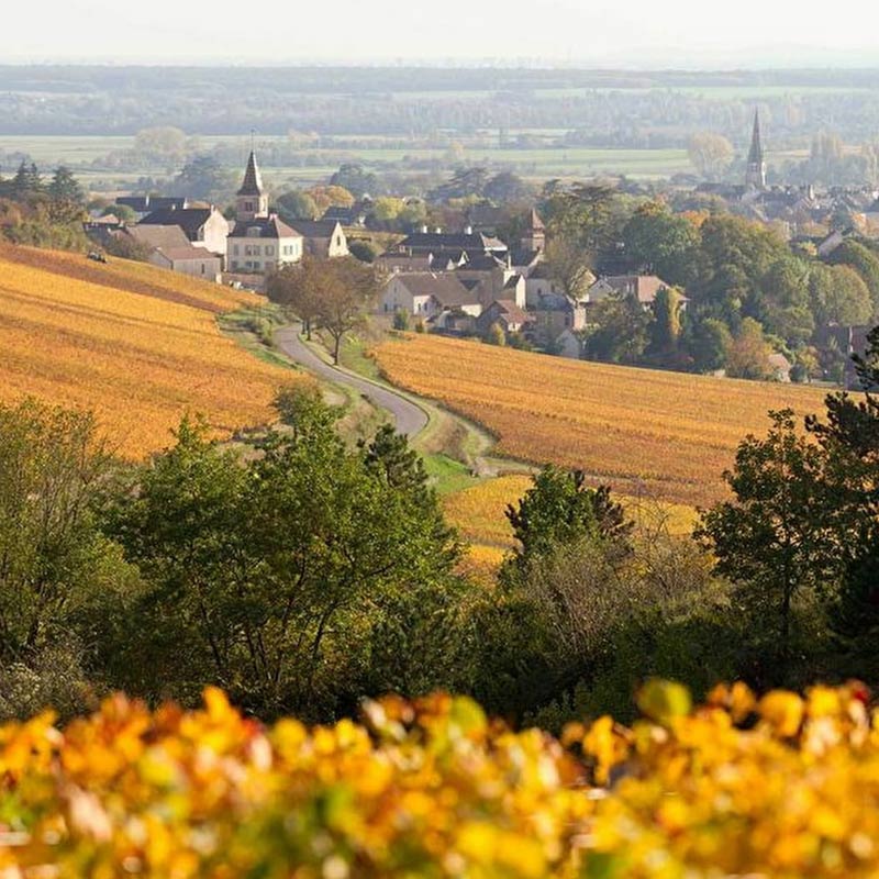 Domaine Douhairet-Porcheret