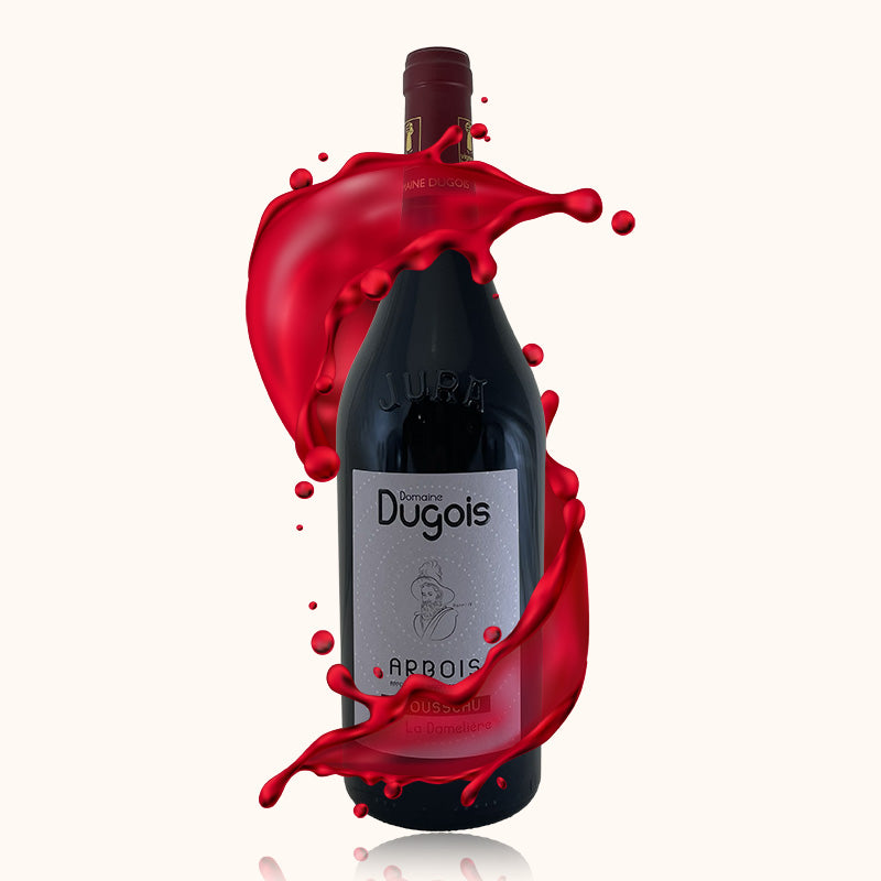 Domaine Dugois La Damelière bouteille