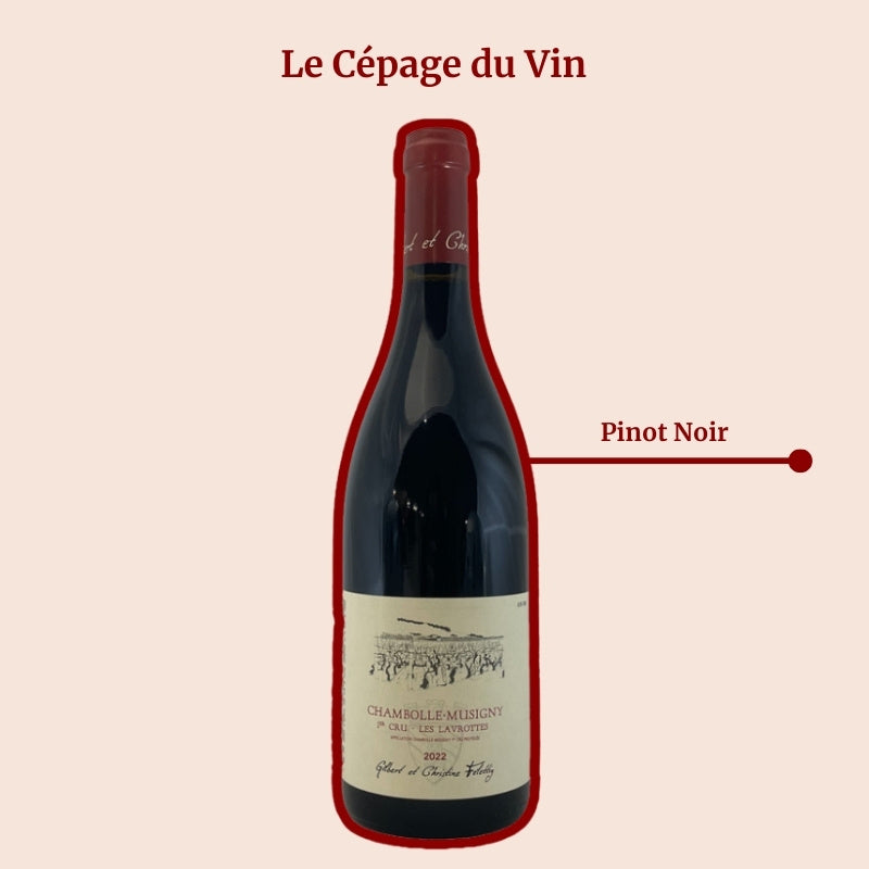 Domaine Felettig Les Lavrottes Cépage