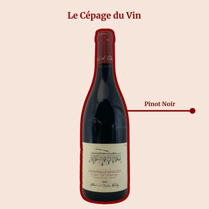 Domaine Felettig Les Lavorottes Cépage