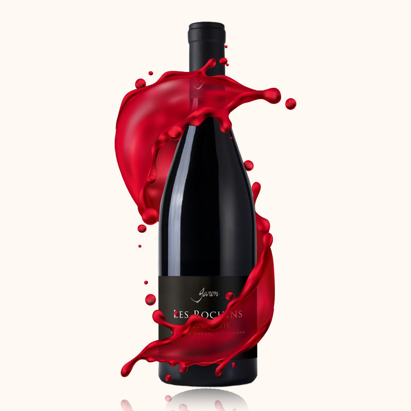 Domaine Garon Côte Rôtie Les Rochins bouteille