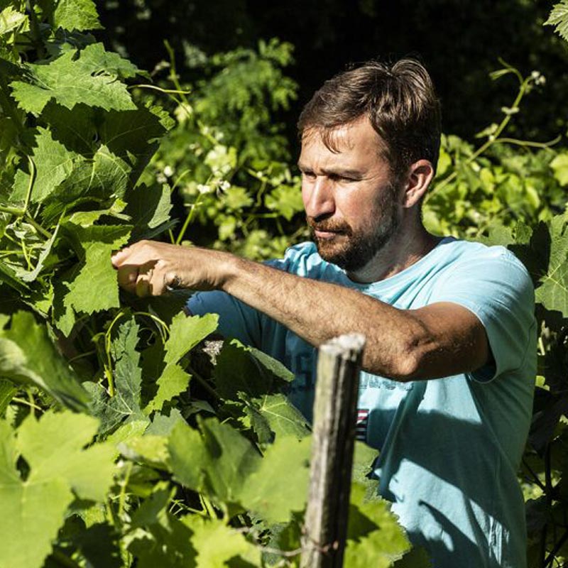 Domaine Garon