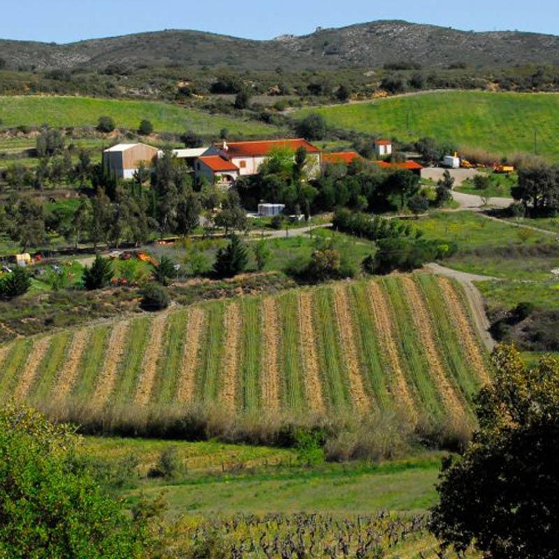 Domaine Gauby
