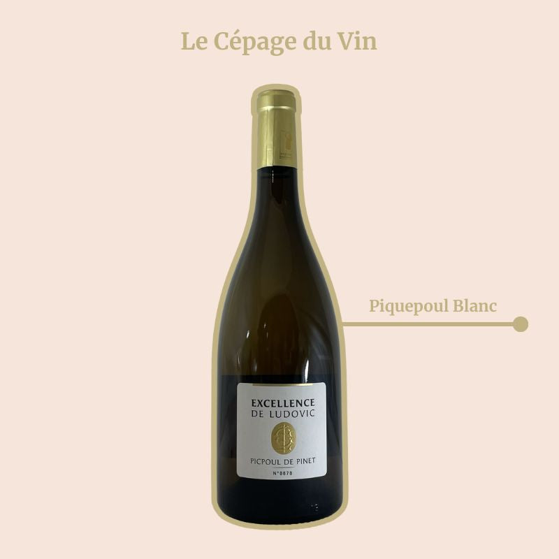 Domaine Gaujal Excellence de Ludovic Cepage