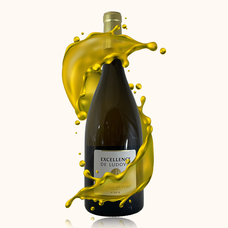 Domaine Gaujal Excellence de Ludovic bouteille