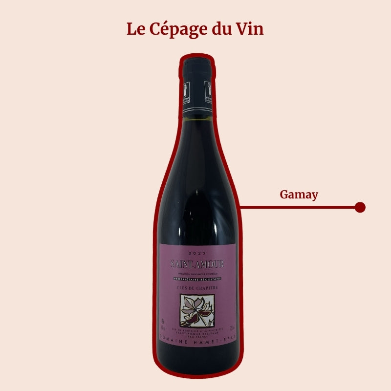 Domaine Hamet Spay Clos du Chapitre Cepage