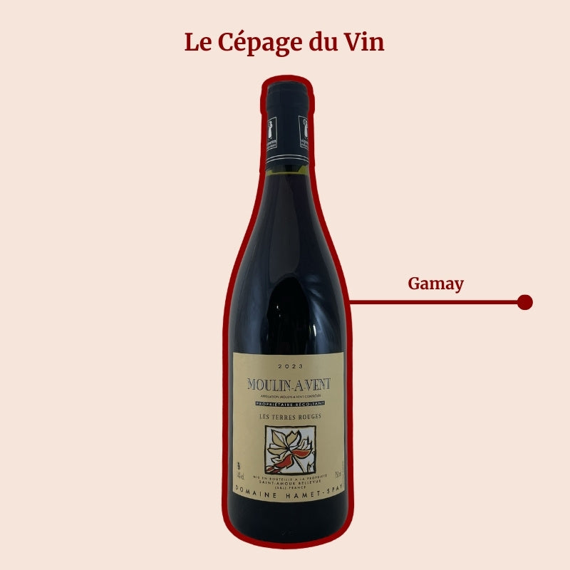 Domaine Hamet-Spay Les Terres Rouges Cépage