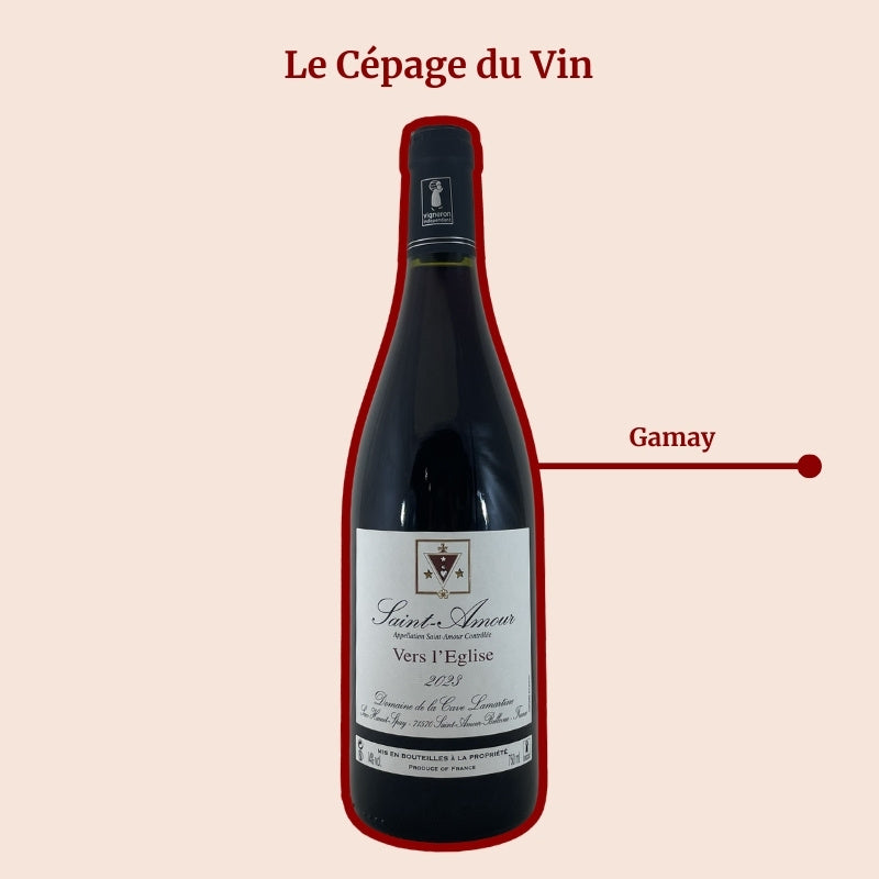 Domaine Hamet-Spay Vers l'Église Cepage
