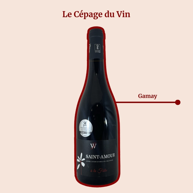 Domaine Juillard-Wolkowicki À la Folie Cépage