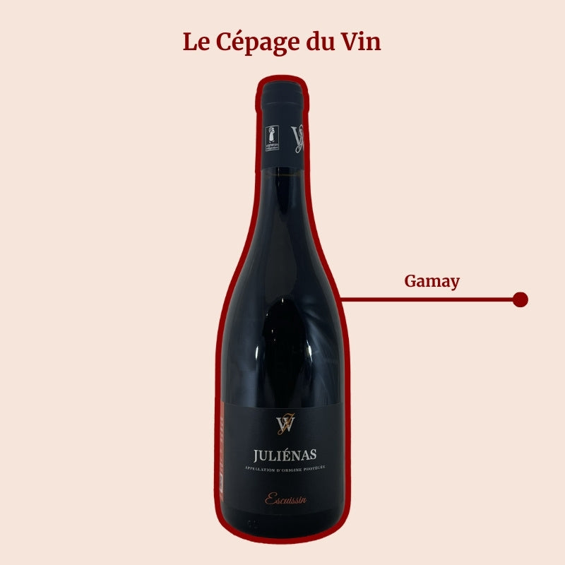 Domaine Juillard-Wolkowicki Escuissin Cepage