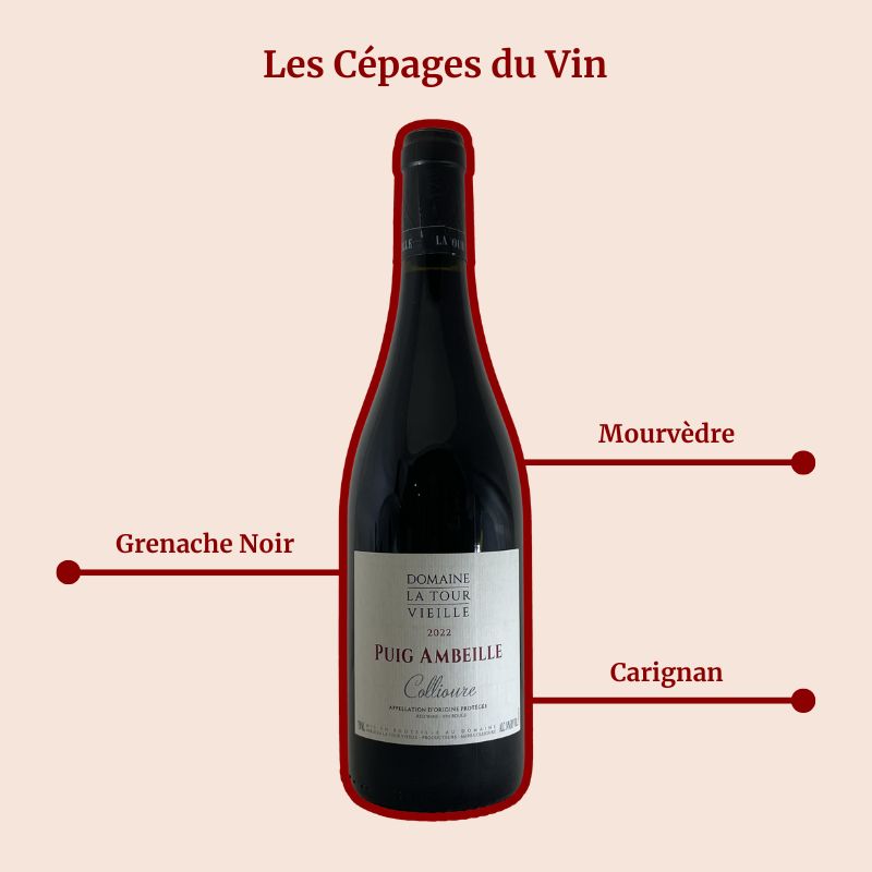 Domaine La Tour Vieille Collioure Puig Ambeille Cépages