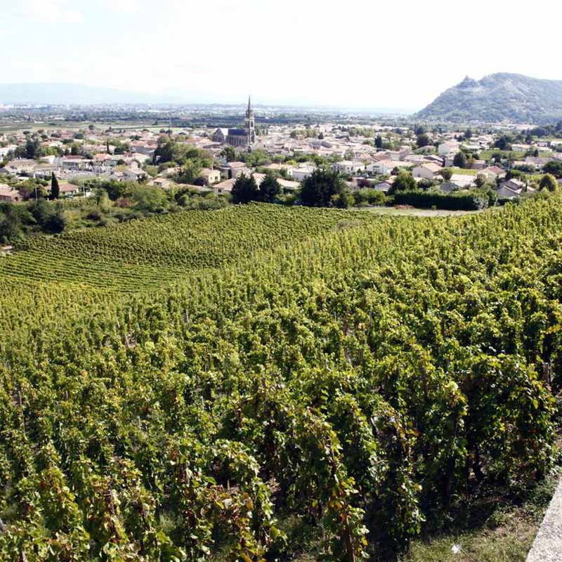 Domaine Lemenicier