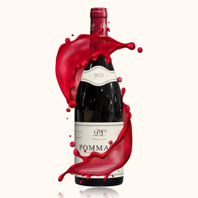 Domaine Louis Lequin Les Noizons bouteille