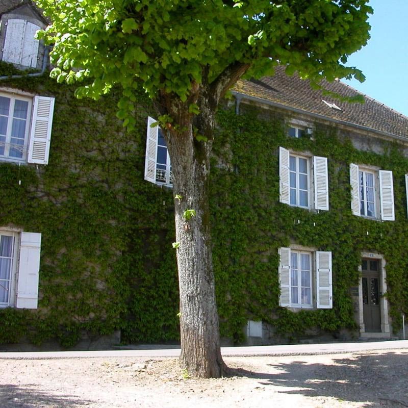 Domaine Louis Lequin