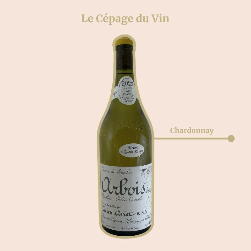 Domaine Lucien Aviet Melon à Queue Rouge Cépage