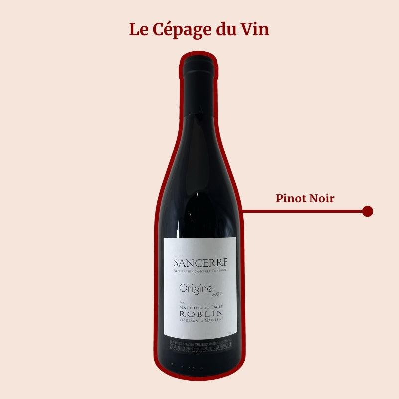 Domaine Matthias et Emile Roblin Origine Rouge Cépage