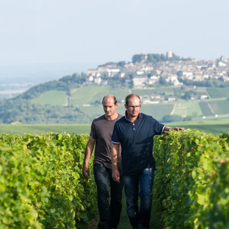 Domaine Matthias et Emile Roblin
