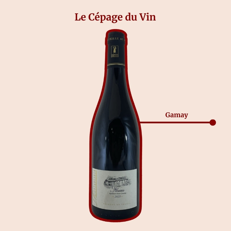 Domaine Montangeron Fleurie Cépage