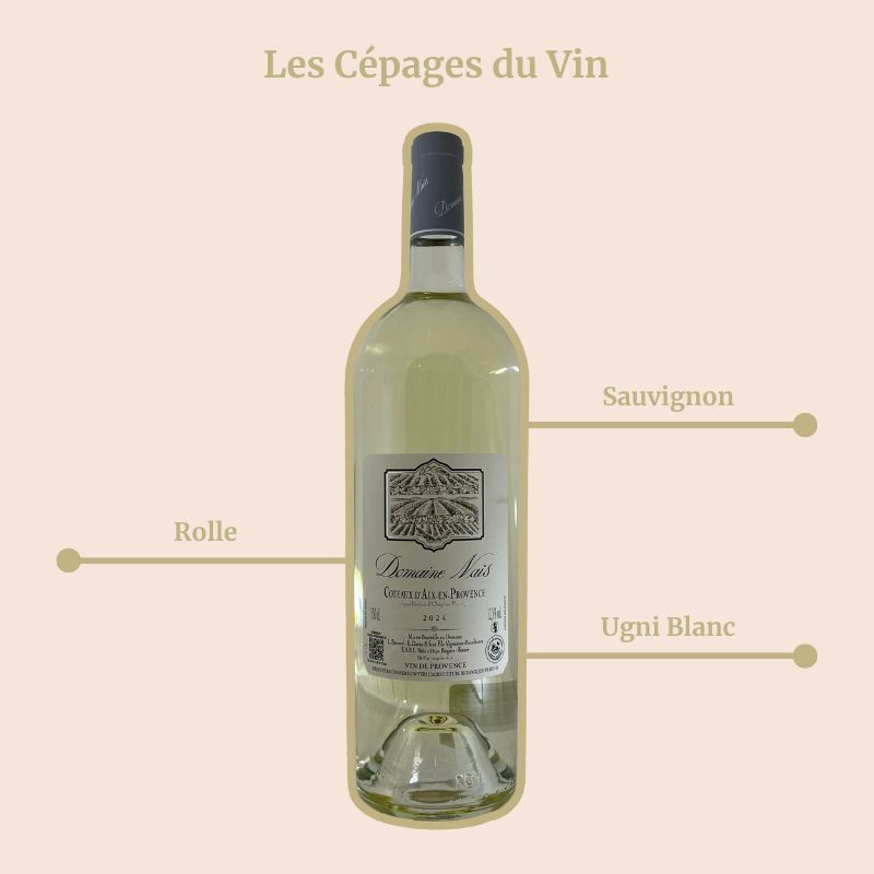 Domaine Naïs Blanc Magnum Cépages