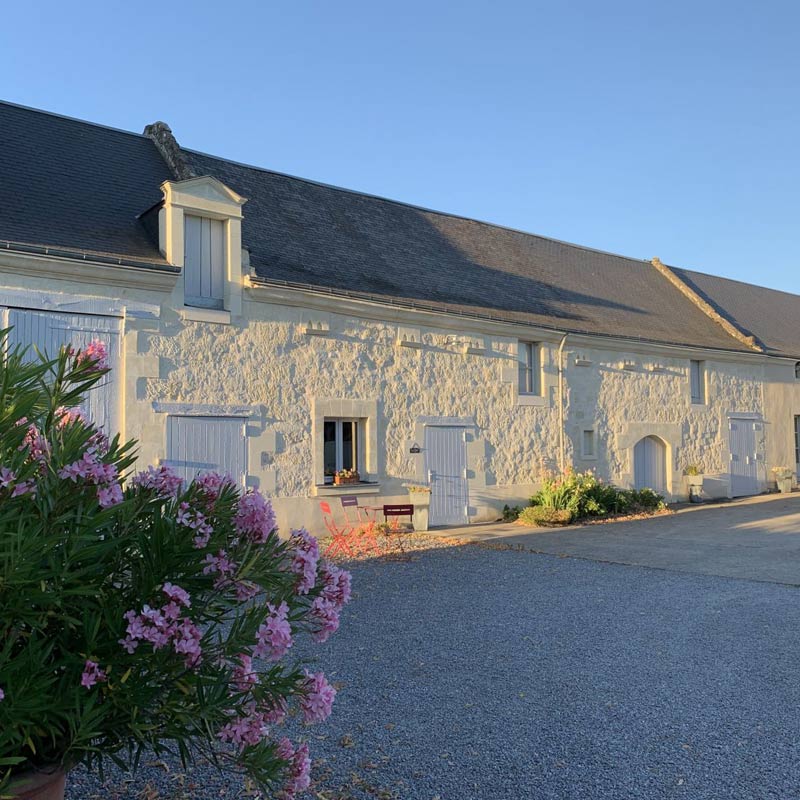 Domaine Olga Raffault