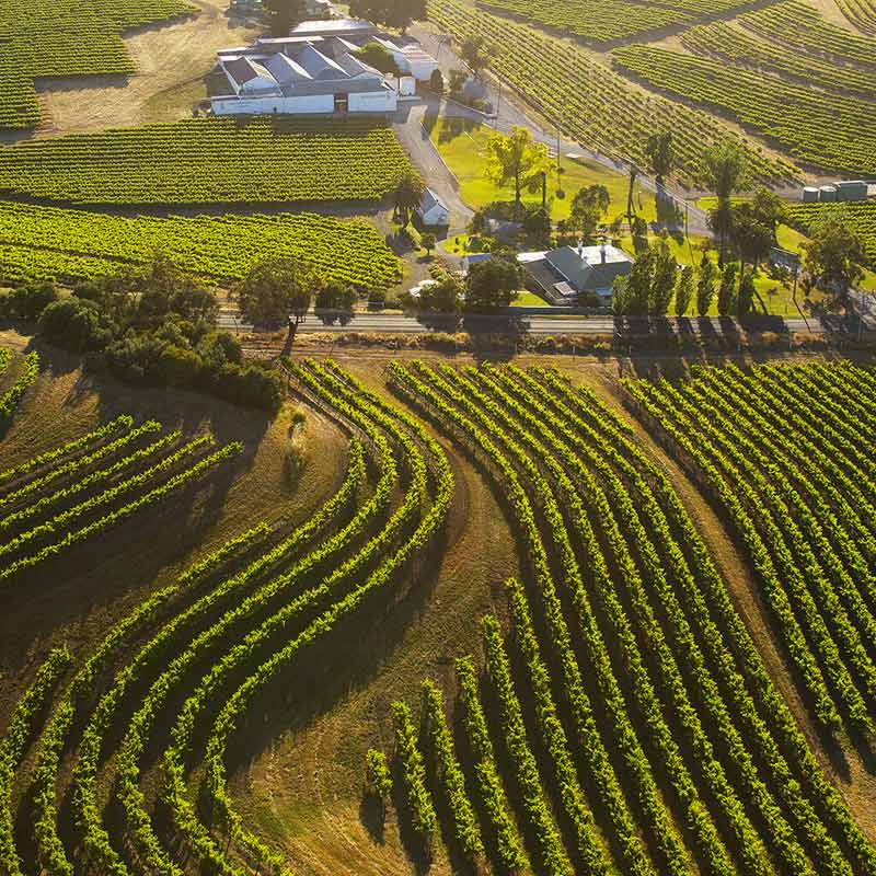 Domaine Penfolds