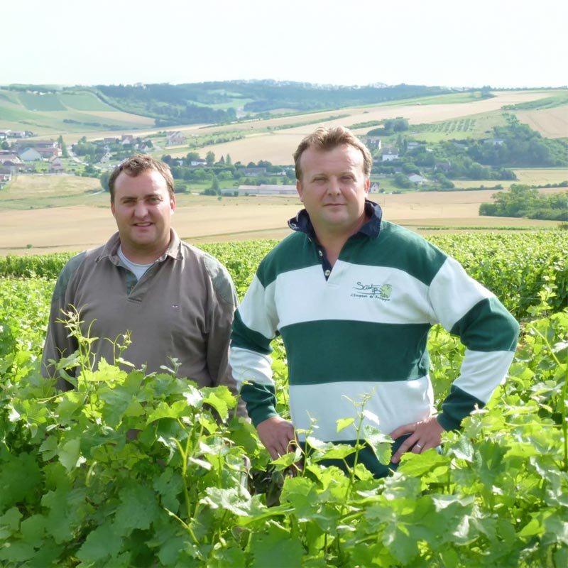 Domaine Petitjean