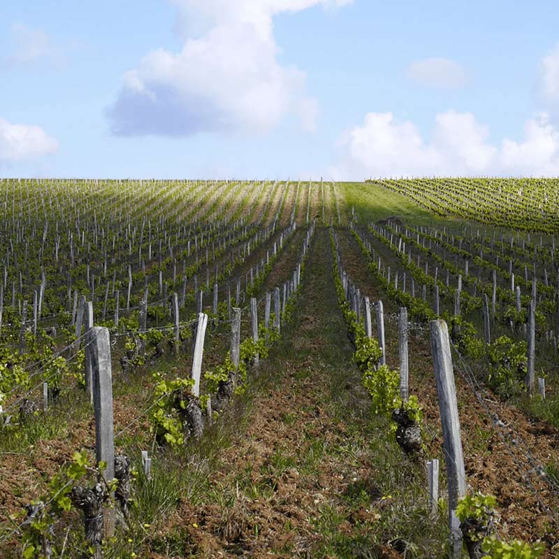 Domaine Philippe Gilbert produit Image